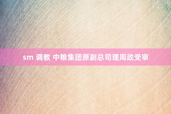 sm 调教 中粮集团原副总司理周政受审
