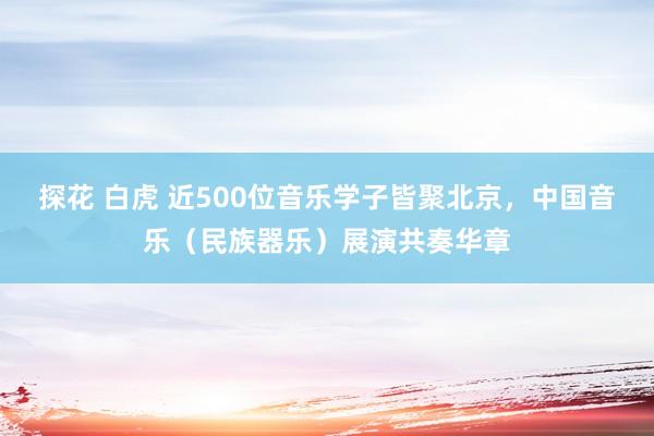 探花 白虎 近500位音乐学子皆聚北京，中国音乐（民族器乐）展演共奏华章