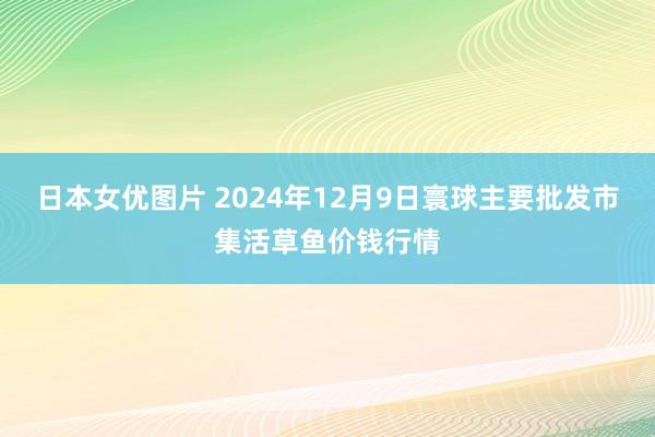 日本女优图片 2024年12月9日寰球主要批发市集活草鱼价钱行情
