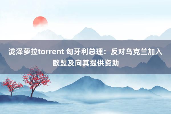 泷泽萝拉torrent 匈牙利总理：反对乌克兰加入欧盟及向其提供资助