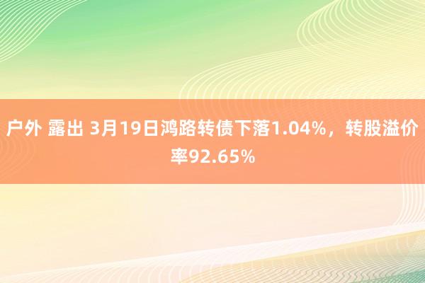 户外 露出 3月19日鸿路转债下落1.04%，转股溢价率92.65%