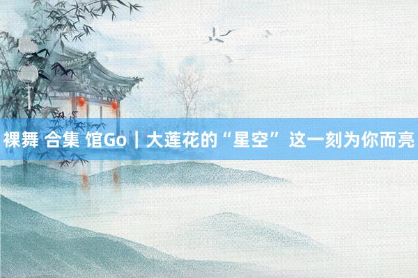 裸舞 合集 馆Go｜大莲花的“星空” 这一刻为你而亮