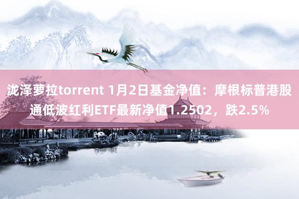 泷泽萝拉torrent 1月2日基金净值：摩根标普港股通低波红利ETF最新净值1.2502，跌2.5%