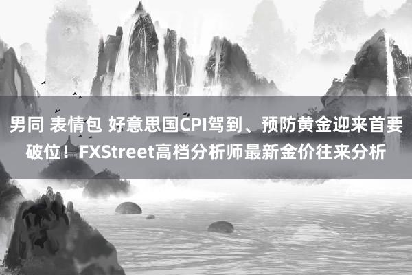 男同 表情包 好意思国CPI驾到、预防黄金迎来首要破位！FXStreet高档分析师最新金价往来分析