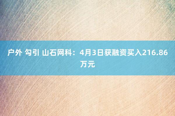 户外 勾引 山石网科：4月3日获融资买入216.86万元