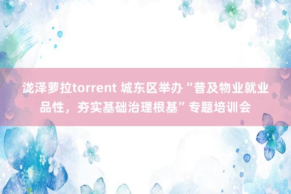 泷泽萝拉torrent 城东区举办“普及物业就业品性，夯实基础治理根基”专题培训会
