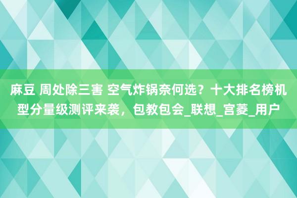 麻豆 周处除三害 空气炸锅奈何选？十大排名榜机型分量级测评来袭，包教包会_联想_宫菱_用户