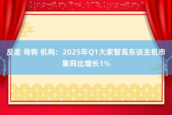 反差 母狗 机构：2025年Q1大家智高东谈主机市集同比增长1%