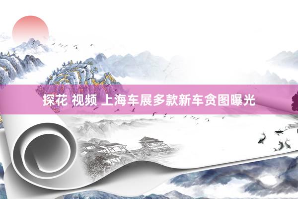 探花 视频 上海车展多款新车贪图曝光