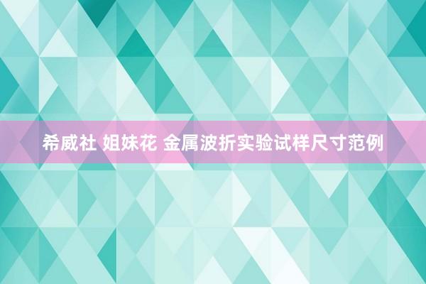 希威社 姐妹花 金属波折实验试样尺寸范例